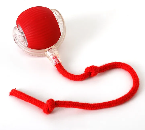 The PurrPlay: Intelligent Self-Rolling Sensory Ball