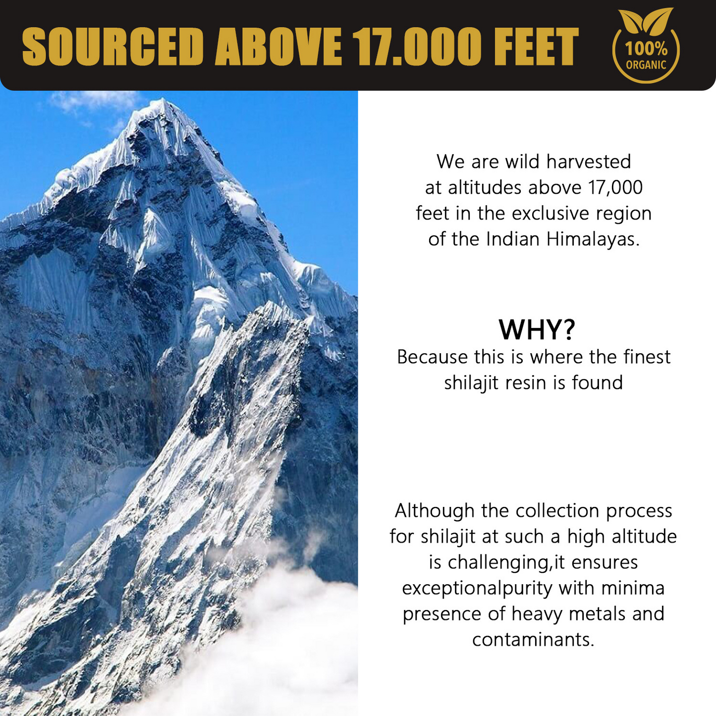 Ancient Black Gold: Pure Shilajit Resin