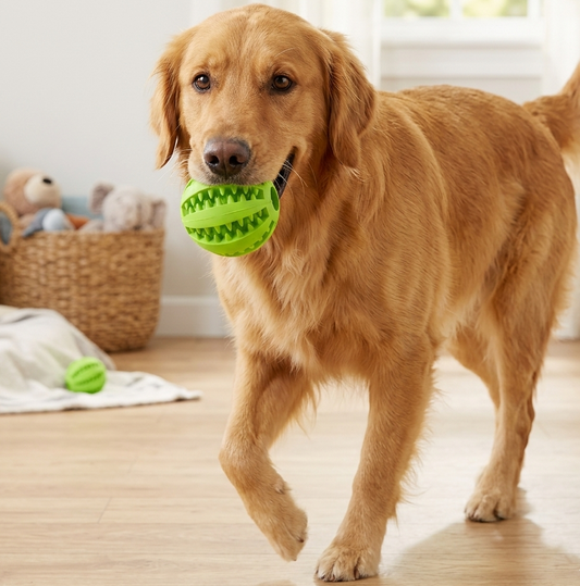 Treat-Toss Ball: Interactive Slow Feeder Dog Ball